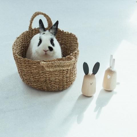 kiko_usagi_-_cute_rabbit_friends_-_tuimelaars_d