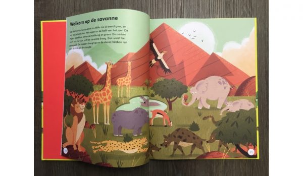 kinderboek wat dieren de hele dag doen kinderen vijf jaar